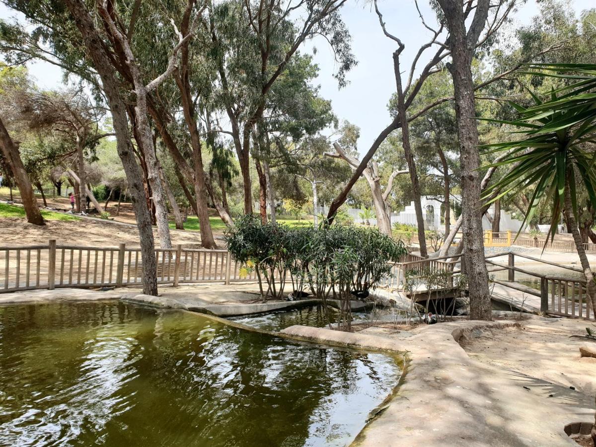 Apartamento Parque Sur Guardamar del Segura Εξωτερικό φωτογραφία